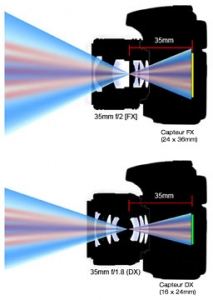 DX-FX-cut-away-graphic-2-213x300.jpg