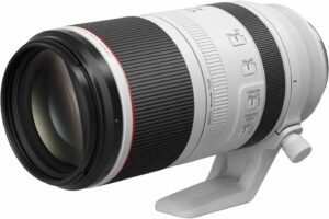 Canon RF 100-500mm f/4.5-7.1L IS USM